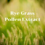 Rye Grass Pollen Extract