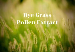 Read more about the article Rye Grass Pollen Extract