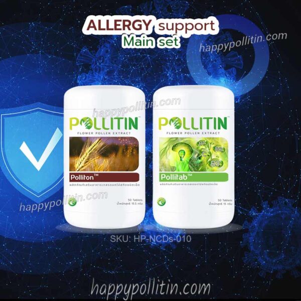 Allergy Support-main