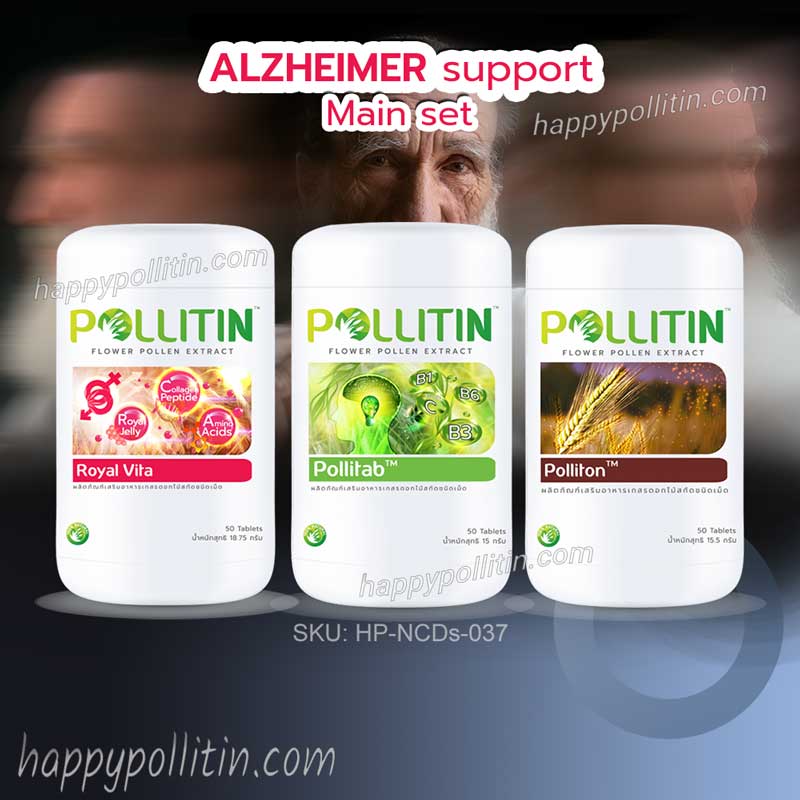 Alzheimer Support-main