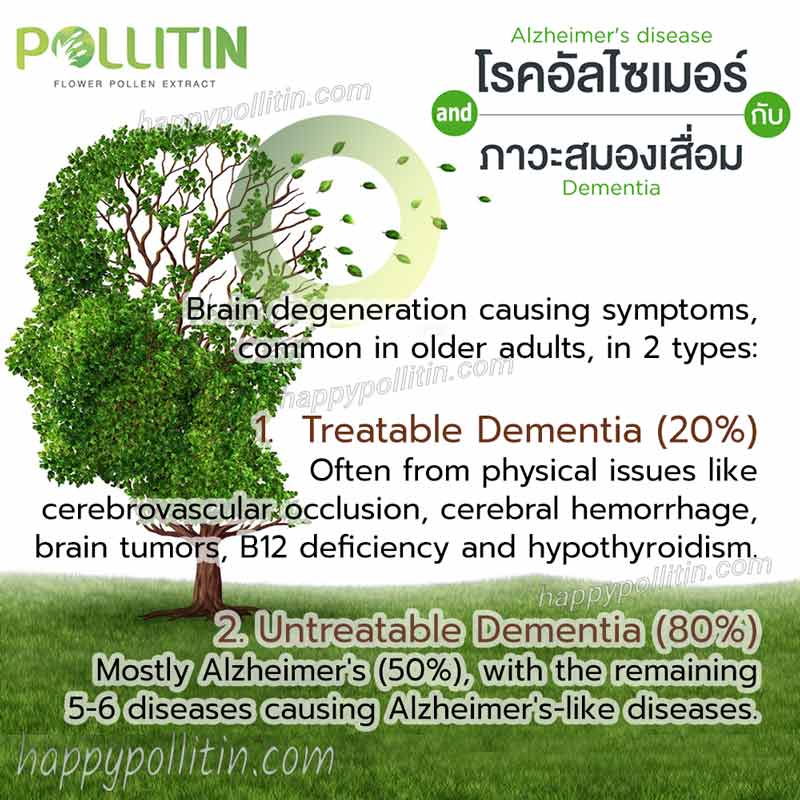 Alzheimer Support-main - Image 2