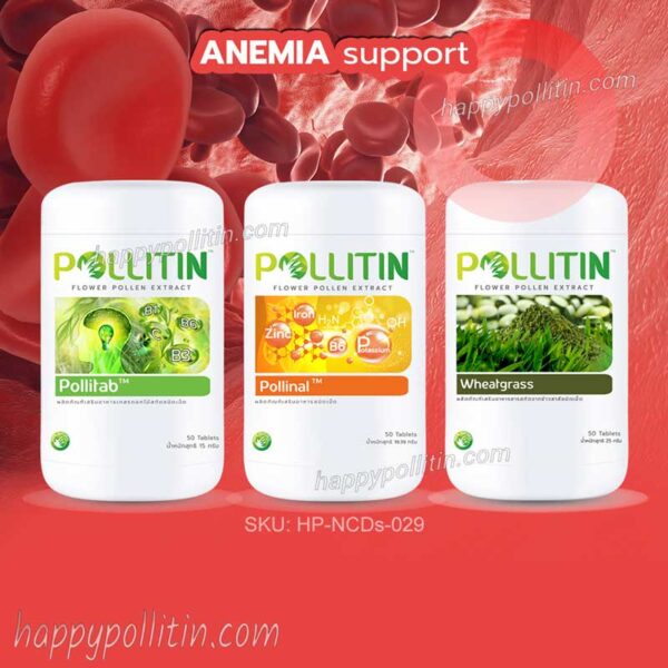 Anemia Support