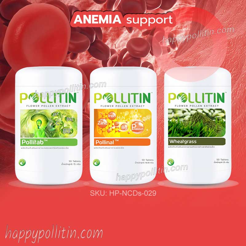 Anemia Support