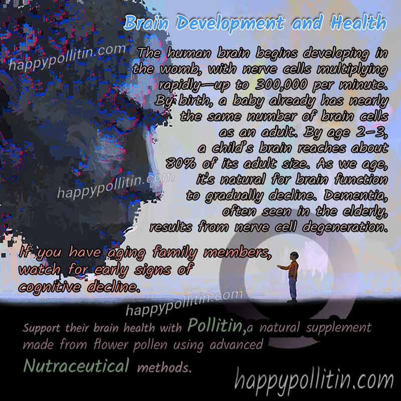 Dementia-main - Image 4