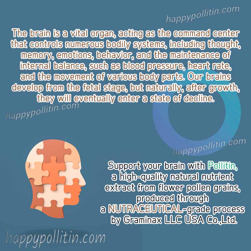 Dementia-main - Image 5