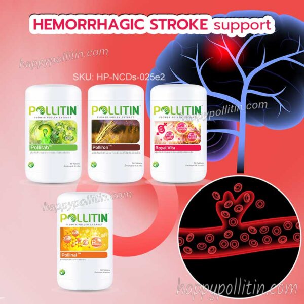 Stroke Support-(Hemorrhagic Stroke)