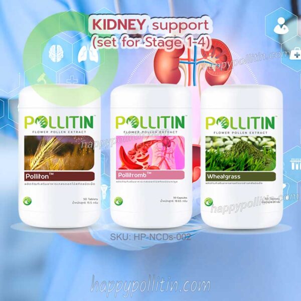 Kidney Support-stage 1-4