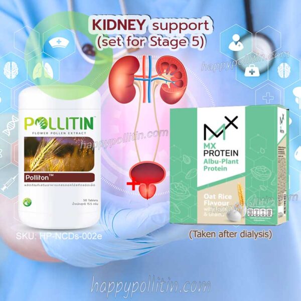 Kidney Support-stage 5