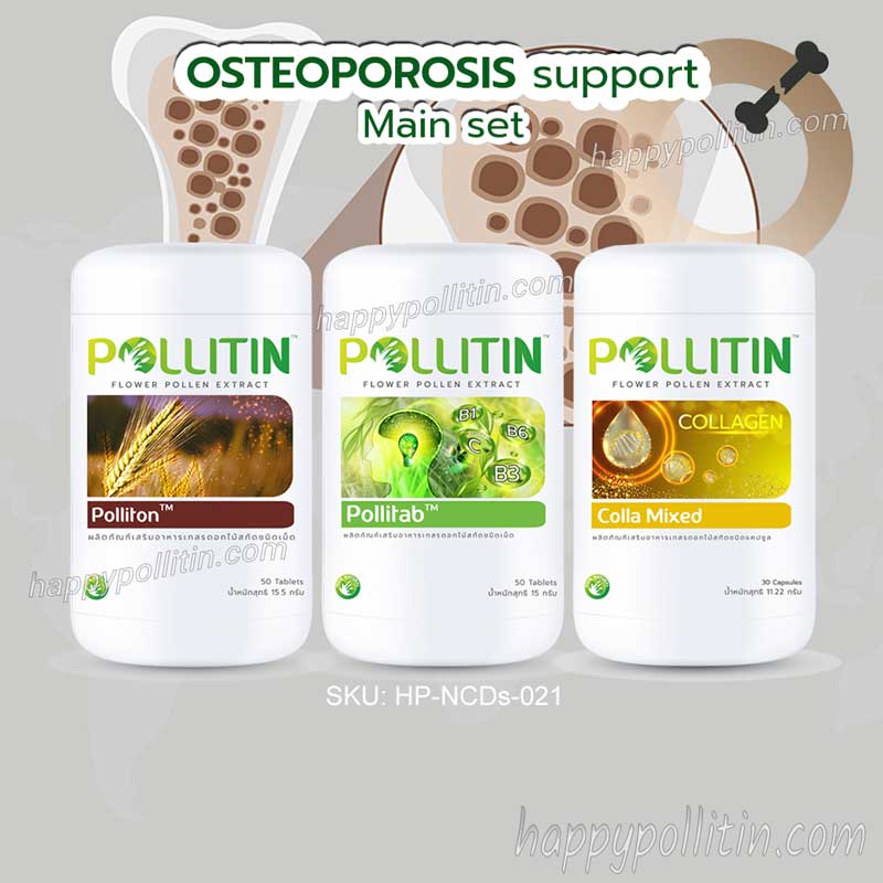 Osteoporosis Support-Main Set