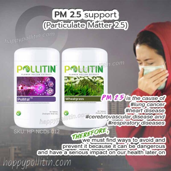 PM 2.5 Support
