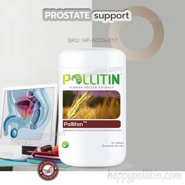 Prostate Support