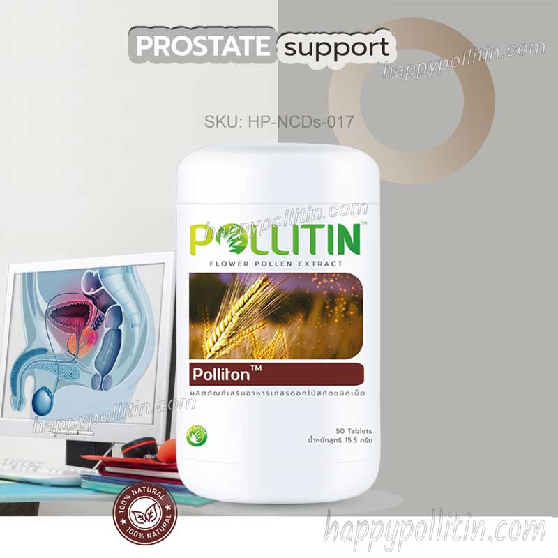 Prostate Support