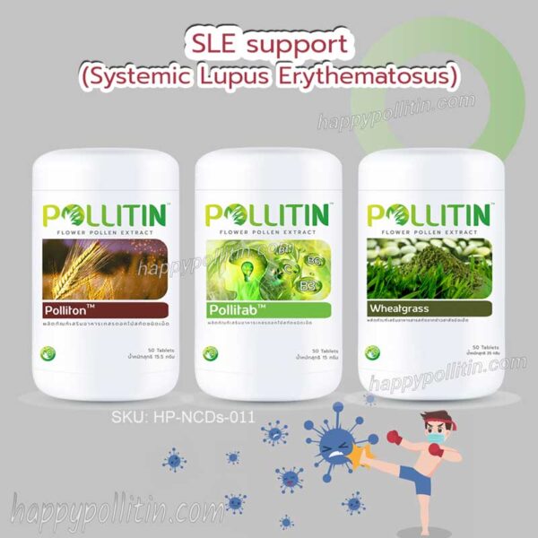 SLE Support