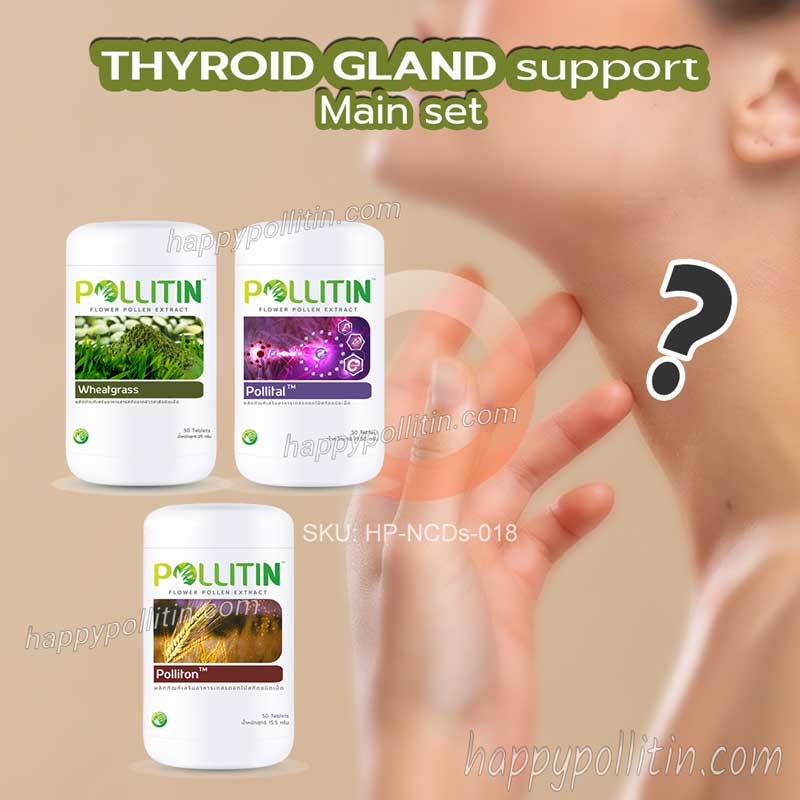 Thyroid Gland Support-Main Set